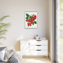 Shaffer's Colossal Raspberry Lithograph (1900)