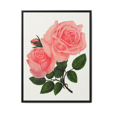 Pink Rose, La France Lithograph (1900) - NOMADEN ART GALLERY
