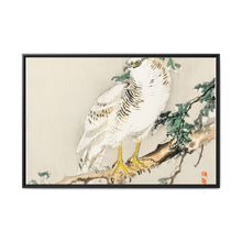 Northern mockingbird by Kōno Bairei (1844-1895) - NOMADEN ART GALLERY