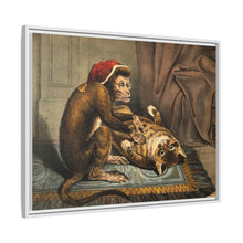A monkey physician examining a cat patient for fleas. Coloured lithograph