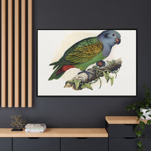 Red-Vented Parrot (Amazona martinicana) colored wood-engraved plate by Alexander Francis Lydon