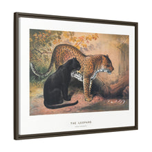 The Leopard from Zoological sketches (1861-1867) by Joseph Wolf and Philip Lutley Sclater