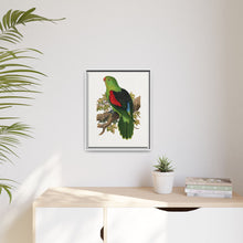 Red-winged parakeet (Aprosmictus erythropterus) colored wood-engraved plate by Alexander Francis Lydon