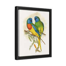 Splendid Parrakeet (Neophema splendida) colored wood-engraved plate by Alexander Francis Lydon - NOMADEN ART GALLERY