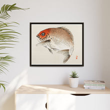 Tai (Red Seabream) fish by Kōno Bairei