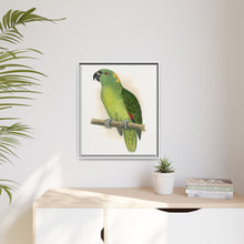 Lydon's Yellow-Naped Amazon | Vintage Parrot Wall Art Print