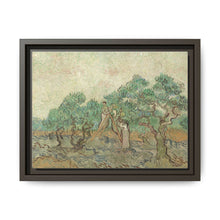 Vincent van Gogh's The Olive Orchard (1889) - Historical Art Canvas Print - NOMADEN ART GALLERY