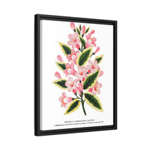 Pink flowers, Weigela lithograph (1900)