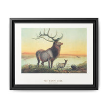 The Wapiti from Zoological sketches (1861-1867) by Joseph Wolf and Philip Lutley Sclater - NOMADEN ART GALLERY