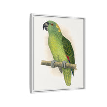 Lydon's Yellow-Naped Amazon | Vintage Parrot Wall Art Print