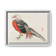 Japanese pheasant by Kōno Bairei (1844-1895) - NOMADEN ART GALLERY