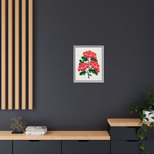 Paul's New Double Flowering Thorn lithograph. Digitally enhanced from our own original 1900 edition plates of Botanical Specimen published by Rochester Lithographing