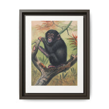 The Chimpanzee from Zoological sketches (1861-1867) by Joseph Wolf and Philip Lutley Sclater. - NOMADEN ART GALLERY