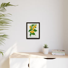 Golden queen raspberry lithograph. Digitally enhanced from our own original 1900 edition plates of Botanical Specimen published by Rochester Lithographing