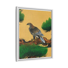 Pine and Eagle, a traditional portrait of a charismatic Japanese eagle by Kano Tanyu (1602-1674)