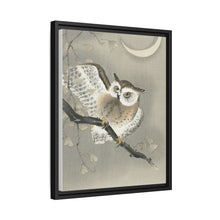 Long-eared owl in ginkgo (1900 - 1930) by Ohara Koson