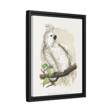 Placa xilográfica coloreada de la cacatúa de cresta blanca (Cacatua alba) de Alexander Francis Lydon