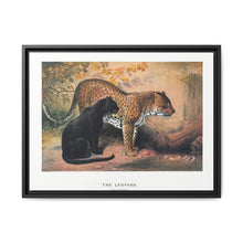 The Leopard from Zoological sketches (1861-1867) by Joseph Wolf and Philip Lutley Sclater - NOMADEN ART GALLERY