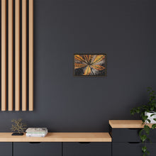 Chestnut leaf by Julie de Graag