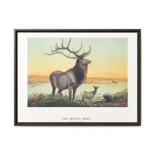 The Wapiti from Zoological sketches (1861-1867) by Joseph Wolf and Philip Lutley Sclater - NOMADEN ART GALLERY