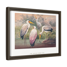 The African Wood Ibis from Zoological sketches (1861-1867) by Joseph Wolf and Philip Lutley Sclater