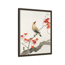 Japanese plague bird on maple (1900 - 1936) by Ohara Koson