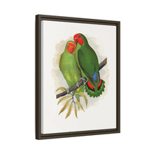 Lydon's West African Love-Bird | Vintage Avian Wall Art Print