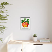 Wolf River Apple Lithograph | Vintage Botanical Wall Art Print