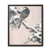 Goshawk on Snow-covered Pine Bough by Ohara Koson (1877–1945) - NOMADEN ART GALLERY