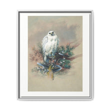 The Greenland Falcon from Zoological sketches (1861-1867) by Joseph Wolf and Philip Lutley Sclater - NOMADEN ART GALLERY