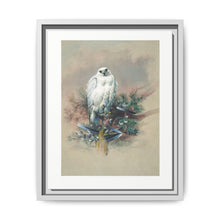 The Greenland Falcon from Zoological sketches (1861-1867) by Joseph Wolf and Philip Lutley Sclater - NOMADEN ART GALLERY