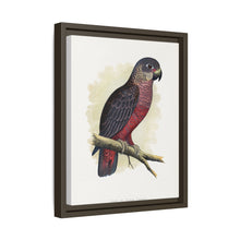 Dusky or Violet Parrot (Pionus fuscus) colored wood-engraved plate by Alexander Francis Lydon.