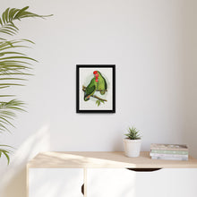 Rosy-Faced Love-Bird (Agapornis roseicollis) colored wood-engraved plate by Alexander Francis Lydon. - NOMADEN ART GALLERY