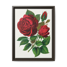 Red Rose, Prince Camille De Rohan Lithograph - NOMADEN ART GALLERY