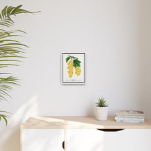 White Grape Lithograph | Vintage Botanical Wall Art Print