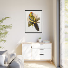 Lydon's Yellow-Rumped Parrakeet | Vintage Bird Wall Art Print