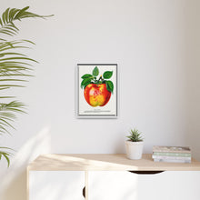 Wolf River Apple Lithograph | Vintage Botanical Wall Art Print