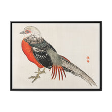 Japanese pheasant by Kōno Bairei (1844-1895) - NOMADEN ART GALLERY