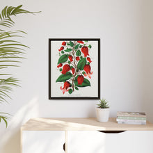Prunus Triloba flower lithograph. Digitally enhanced from our own original 1900 edition plates of Botanical Specimen published by Rochester Lithographing