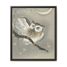 Long-eared owl in ginkgo (1900 - 1930) by Ohara Koson