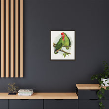 Rosy-Faced Love-Bird (Agapornis roseicollis) colored wood-engraved plate by Alexander Francis Lydon.