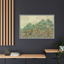Vincent van Gogh's The Olive Orchard (1889) - NOMADEN ART GALLERY