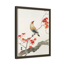 Japanese plague bird on maple (1900 - 1936) by Ohara Koson