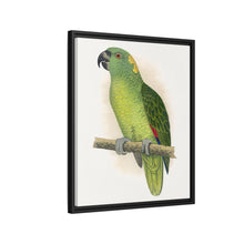 Lydon's Yellow-Naped Amazon | Vintage Parrot Wall Art Print