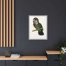 Hawk-Headed Parrot (Deroptyus accipitrinus) colored wood-engraved plate by Alexander Francis Lydon.