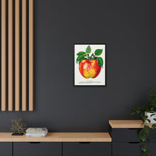 Wolf River Apple Lithograph | Vintage Botanical Wall Art Print