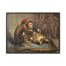 A monkey physician examining a cat patient for fleas. Coloured lithograph - NOMADEN ART GALLERY