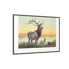 The Wapiti from Zoological sketches (1861-1867) by Joseph Wolf and Philip Lutley Sclater