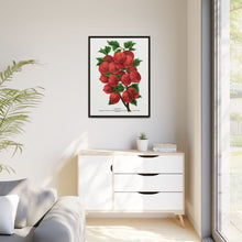 Industry Gooseberry lithograph. Digitally enhanced from our own original 1900 edition plates of Botanical Specimen published by Rochester Lithographing