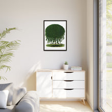 Kilmarnock Weeping Willow tree lithograph. Digitally enhanced from our own original 1900 edition plates of Botanical Specimen published by Rochester Lithographing